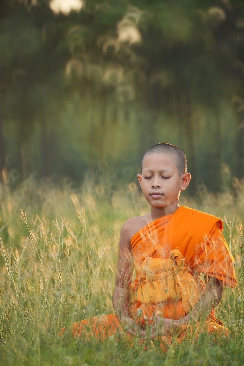 Tai Chi Meditation
